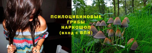 гидропоника Пересвет