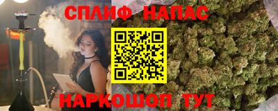 стафф Мариинск