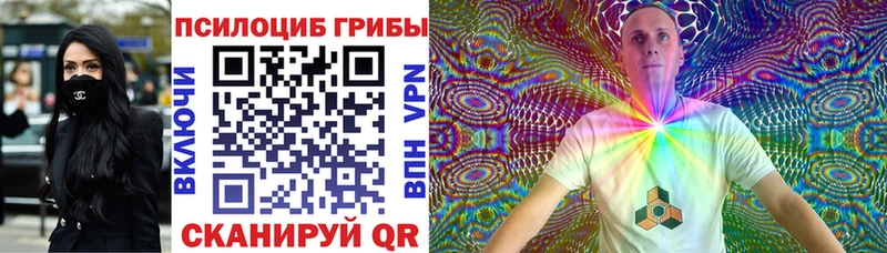 Псилоцибиновые грибы Psilocybe Белая Калитва