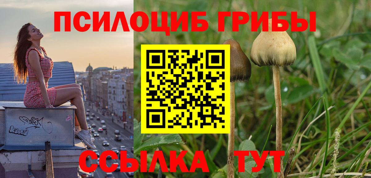 Белая Калитва  Псилоцибиновые грибы Cubensis  Вход с VPN 
